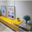 알레르망스핑크스팀버가구