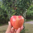 제주 올레길 14-1코스 | 다시, 제주 올레길 (14-1코스)