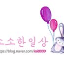 삼 포 이미지