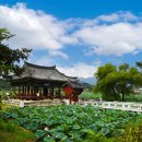 유등연지 둘레길 이미지