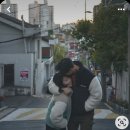 들풀 | w5 | 서울 야외 웨딩스냅 들풀스냅 촬영후기 야외스냅 장소추천