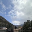 (주)강산투어 | 유유투어 유후인 버스투어 맛집 - 표고버섯구이, 폭탄타코야끼, 미르히 푸딩, 유후인 리쿼샵, 플로랄...