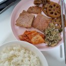 경희시은한의원 | 콜립 선릉 1년 거주 후기