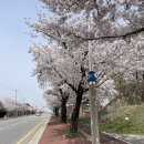 부용로55번길 이미지