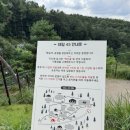 고매로43번길 | 서울 근교 용인 대형 애견 카페 테일45 입장료, 주차장 등 솔직 후기