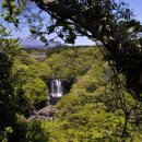 천제연폭포 이미지