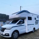 알프스애견 이미지