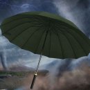 우산2 이미지