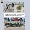 논산시종합사회복지관 | 테라리움 단체수업 30명 | 천안 종합 사회 복지관 출강 후기