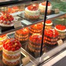 부띠끄이틀 | 대전 성심당 케익부띠끄 딸기시루 순수롤 주말 웨이팅 후기 +주차 꿀팁