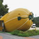 남성주참외(창원) 이미지