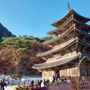 속리산 법주사 이미지