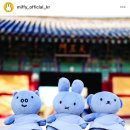 경주(부산) 이미지