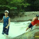 춘천목장 이미지