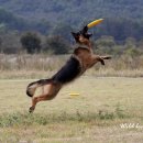 날아라슈퍼 이미지