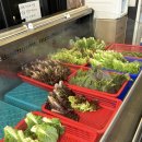 청춘연가 | [포항송도맛집] 가족 외식 안성맞춤, 가성비 맛집 <청춘연가> 솔직 후기