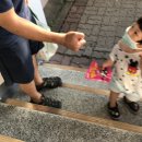 한이마트 이미지