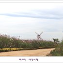 대부바다향기 테마파크 이미지