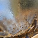 기호할인마트 이미지