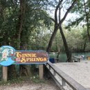 지니스프링스 이미지