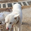 연당조전로 이미지