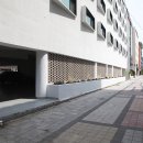 브라운 도트 이미지