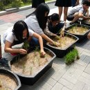 미래초등학교 이미지