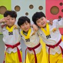 사하 힘찬태권도 이미지