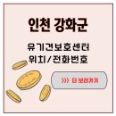 인천광역시 야생동물구조관리센터 | 섬마을의 포근한 품, 인천 강화군 유기견보호센터 보호소에서 피어난 희망