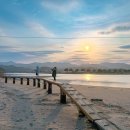 덕산 산딸나무길 | 삼척 덕산해수욕장 / 한적한 동해 바다 숨은 명소