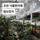 브리지팜 | 포천 카페 추천 식물원 느낌 거북이가 있는 팜브릿지 후기