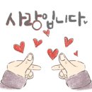 꿈꾸는애벌레자연놀이학교 이미지