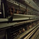 금포농장 이미지