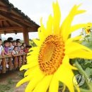 해바라기어린이공원 이미지