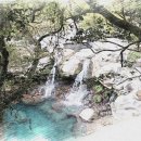 제주돈내코 - 춘천시 퇴계로77번길 19-40 | 제주돈내코