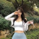 금화 이미지