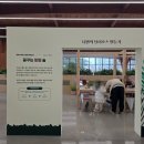 힐링에세이+ 숲(영흥수목원) | 수원 영흥수목원 겨울 볼거리 가족 나들이 후기