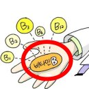 정자나무상회 - 세종특별자치시 북암천길 39 | 발기 영양제 다 사먹어 봄(개인적인 후기)
