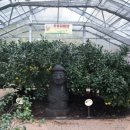 감귤박물관 이미지