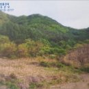 한티천 이미지