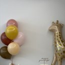 사라앤마르코 이미지