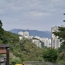 황령산 벚꽃약수터 이미지