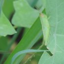 만나공원 이미지