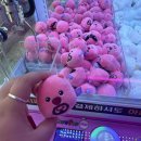 캐칭덕 오락실 이미지