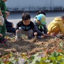 죽도어촌체험휴양마을 이미지