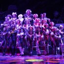 (공연) 캣츠 오리지널 내한공연3 이미지