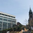 청풍호 감 이미지