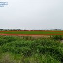 내경1리 이미지