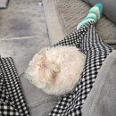 (주)신동부종합정비 | 동탄9동 행정복지센터 출생신고부터 민생회복지원금 신청