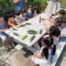 자연사랑어린이집 이미지